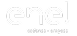 Enel_Logo_Blanco_Transp 1